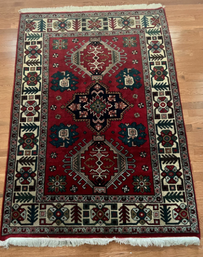 ON SALE 4' x 6' Hand Knotted Rug Perfect for Entry Way